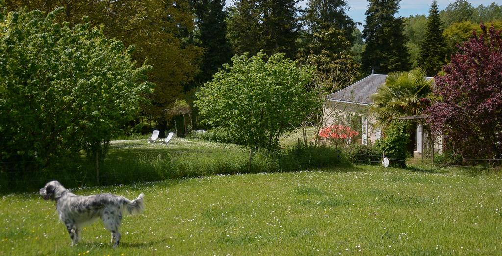 La Flèche La Barillerie Bed & Breakfast エクステリア 写真